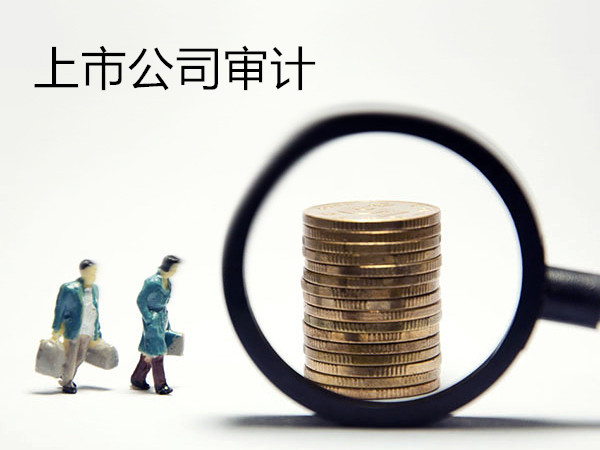 上市公司審計(jì).jpg 上市公司審計(jì).jpg